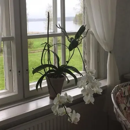 Lomatila Ollila Farm *