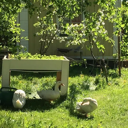 Lomatila Ollila Farm Фермерский дом *