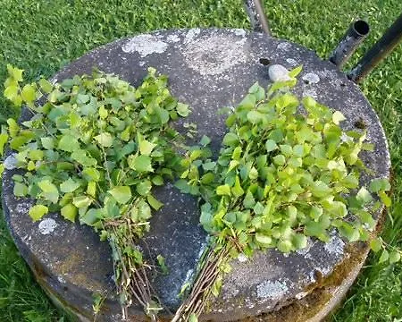 Çiftlik konaklama Lomatila Ollila Farm