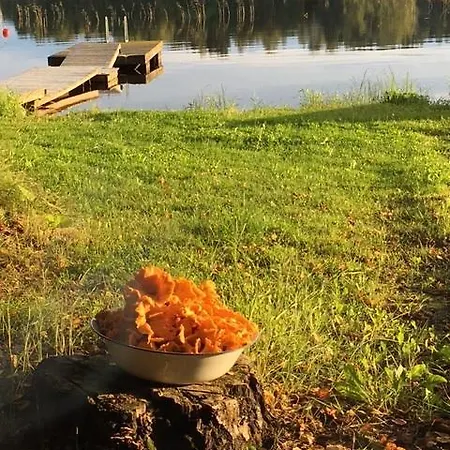 Lomatila Ollila Farm Керимяки